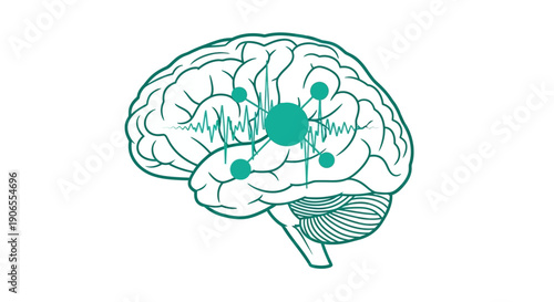Human brain illustration showing neural connections and activity viewed from the side