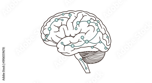 An illustration of a human brain with highlighted neural connections, showcasing the intricate details of the cerebral structure from a lateral viewpoint.