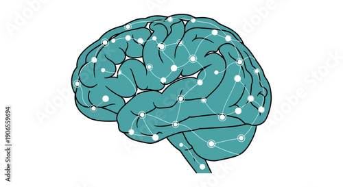 Illustration of a human brain with neural connections and activity depicted in a simplified, stylized vector format Whisk