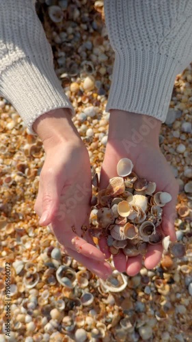 Woman Collecting Seashells on Pebble Beach