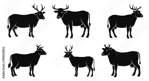Collection of Six Black Silhouettes of Cows and Bulls.