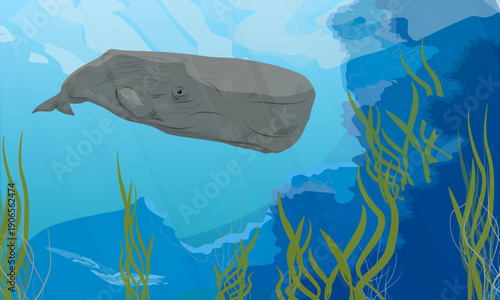 Sperm whale or cachalot swim near underwater rocks with seaweed beds. Realistic vector animal