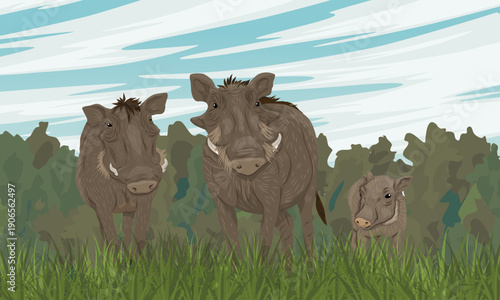 A family of warthogs stands in lush green grass. Realistic vector landscape.