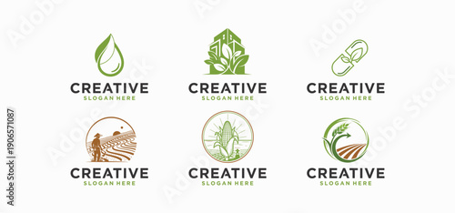 Farmer logo, a beautiful and modern rural corn farmer.