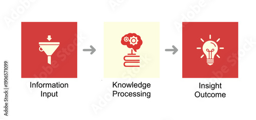 Information processing flowchart: input funnel knowledge brain and insight outcome bulb.
