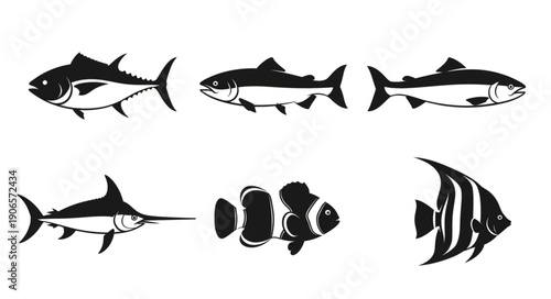 Collection of six different fish silhouettes in black and white.