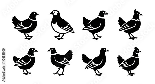 Collection of Stylized Black Bird Silhouettes on White Background.