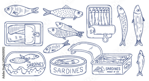 Doodle sardines. Fish in cans, sardine mackerel anchovies canned food. Seafood mediterranean, italian spanien greek cuisine ingredients, neoteric vector set