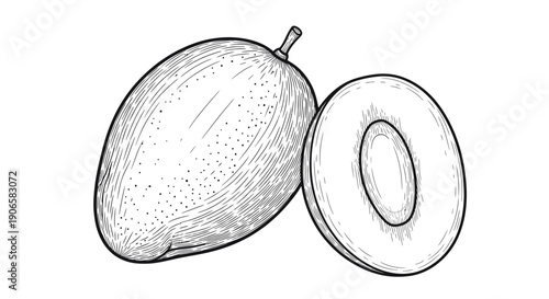 Whole and Halved Mango Fruit Illustration, Hand Drawn Sketch