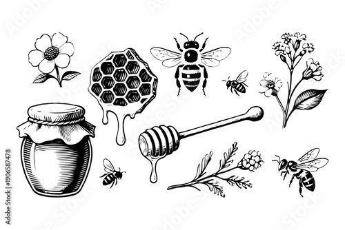 Hand-drawn honey bees, honeycomb, honey jar, dipper, flowers, and flying bees on clean white background. Concept of beekeeping and nature