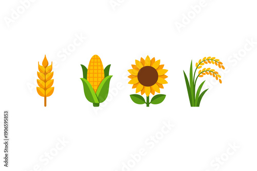 Flat vector set of agricultural crop icons featuring wheat ear, corn cob, sunflower bloom, and rice plant isolated on white background