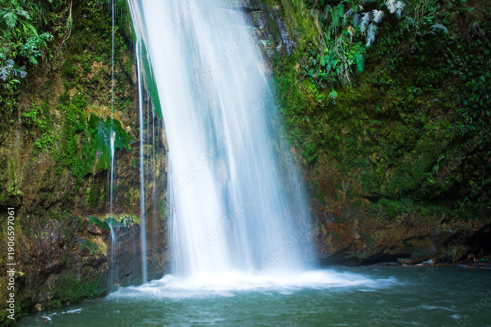 Obraz premium A classic waterfall Te Ana Falls in the heart of Tangoio Forest. Hawke's Bay, New Zealand