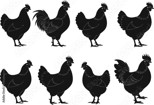 Chicken and rooster silhouettes vector collection, farm poultry animals, black hen cock icons set, rural agriculture symbols for logo, packaging, design