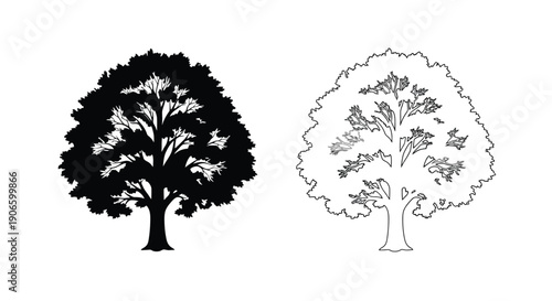 Two tree illustrations one solid black one white outline