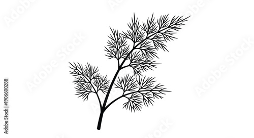 A delicate black and white illustration of a dill plant with feathery foliage