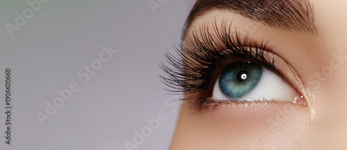 Beautiful macro of female eye with extreme long eyelashes and black liner makeup. Perfect shape make-up and long lashes. Cosmetics, Beauty and make-up. Closeup macro photo of fashion eyes visage