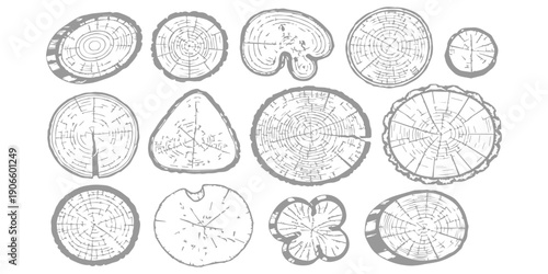 Collection of diverse hand-drawn tree trunk cross-sections with visible growth rings, isolated on white background, natural texture elements