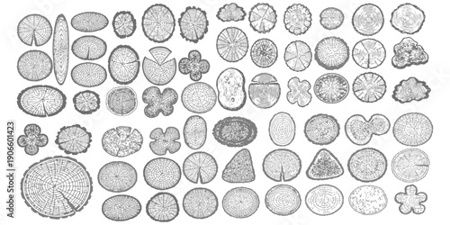 Collection of hand-drawn circular and abstract shapes with a distressed texture, monochrome vector illustration