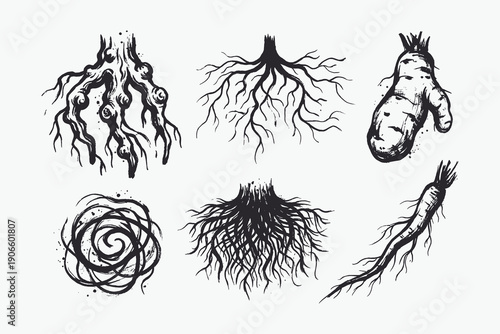 Grungy Ink Drawn Root Systems: Set of Abstract, Fibrous, and Taproot Illustrations