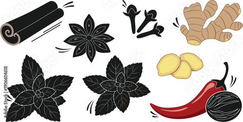 Set of Culinary Spices and Herbs Vector Illustrations Featuring Cinnamon, Star Anise, Ginger, Chili Pepper, and Mint Leaves