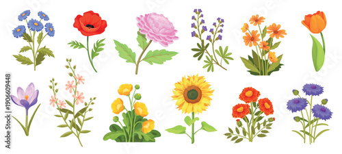 Cartoon wildflowers. Field and garden flowers stem, spring meadow wild flower floral collection sunflower chrysanthemum marigold poppies plant decoration, neat vector illustration