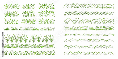Collection of various green grass blades and tufts arranged in rows
