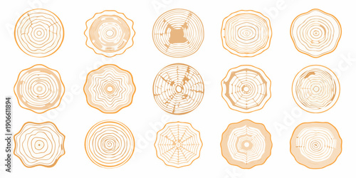 Collection of tree stump cross sections displaying various growth ring patterns