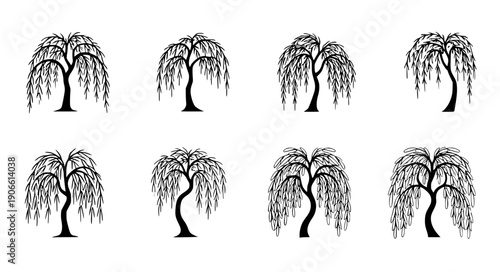 Minimal willow tree icons with hanging branches elegant nature silhouette vector for branding