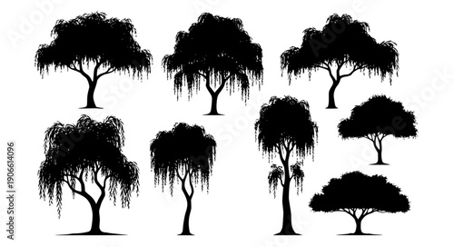 Willow tree silhouette collection with drooping branches minimalist botanical forest vector set