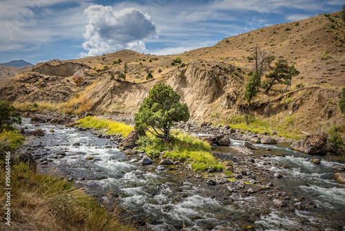 Scenic view over some rapids in the Yellowstone river in the Yellowstone National Park, USA