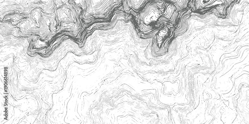 Detailed topographic contour map lines showing mountainous terrain and valleys in grayscale topography 1