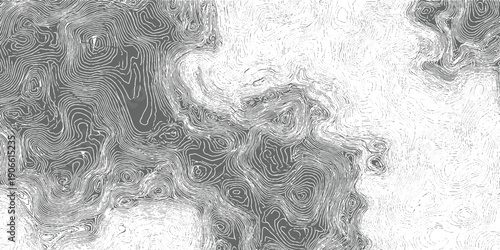 Abstract topographic contour lines pattern in grayscale with swirling organic shapes texture background