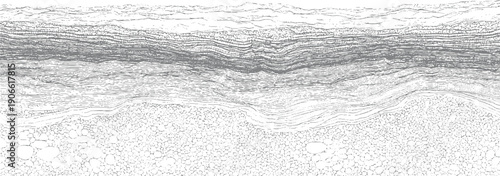Cross section of geological strata showing layers of sediment and rock formations geology