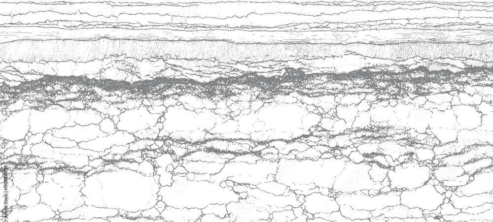 Fototapeta premium Abstract grey cracked texture with horizontal lines and granular patterns white
