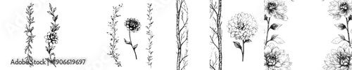 Elegant Floral Designs: Hand Drawn Laurel Frames and Branches with Vertical Divider