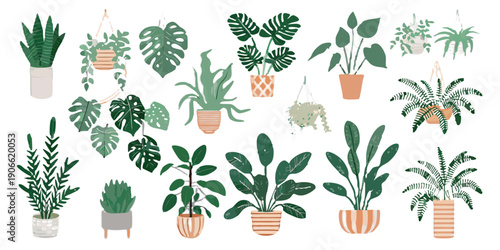 Variety of potted and hanging houseplants against a black background