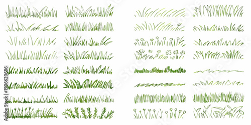 Collection of various green grass blades and patches isolated on white