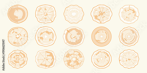 Collection of orange tree stump cross sections in a repeating pattern