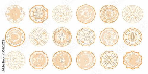 Collection of orange wood slices with varying ring patterns and shapes