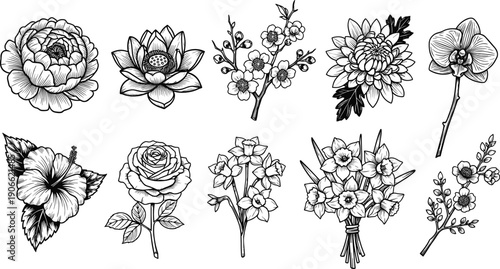 Hand drawn floral botanical illustration set featuring roses lotus orchids blossoms isolated on white background vintage engraved flower line art vector