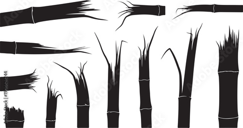 Bamboo Stalks and Stems in Black Silhouette Isolated