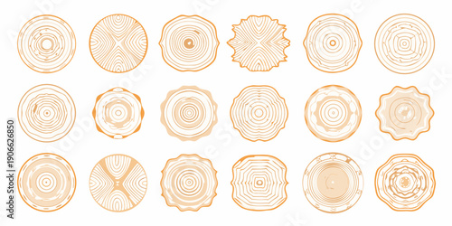 Collection of orange tree stump cross sections with varying ring patterns