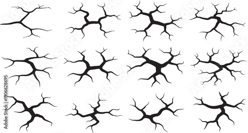 Collection of black branching tree like structures on white