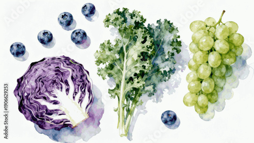 Healthy Echo Salad Vegetables Background isolated watercolor vector illustration svg