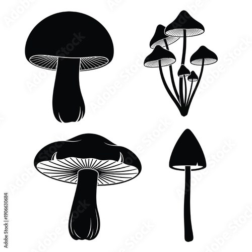 Collection of various mushroom silhouettes displayed in a simple and clean illustration style