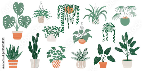 Collection of various potted houseplants arranged on a black background