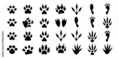 Collection of various animal footprints and paw prints in black