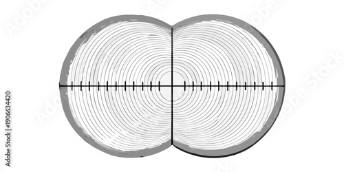 Cross section of a tree trunk with visible growth rings and a central target