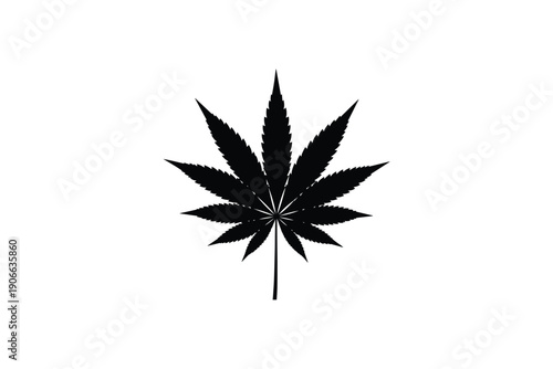 Black silhouette of cannabis leaf isolated on white background. botanical illustration of marijuana plant