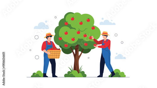 Two male farmers working together to harvest ripe red apples from a lush green tree into a wooden basket on a farm.